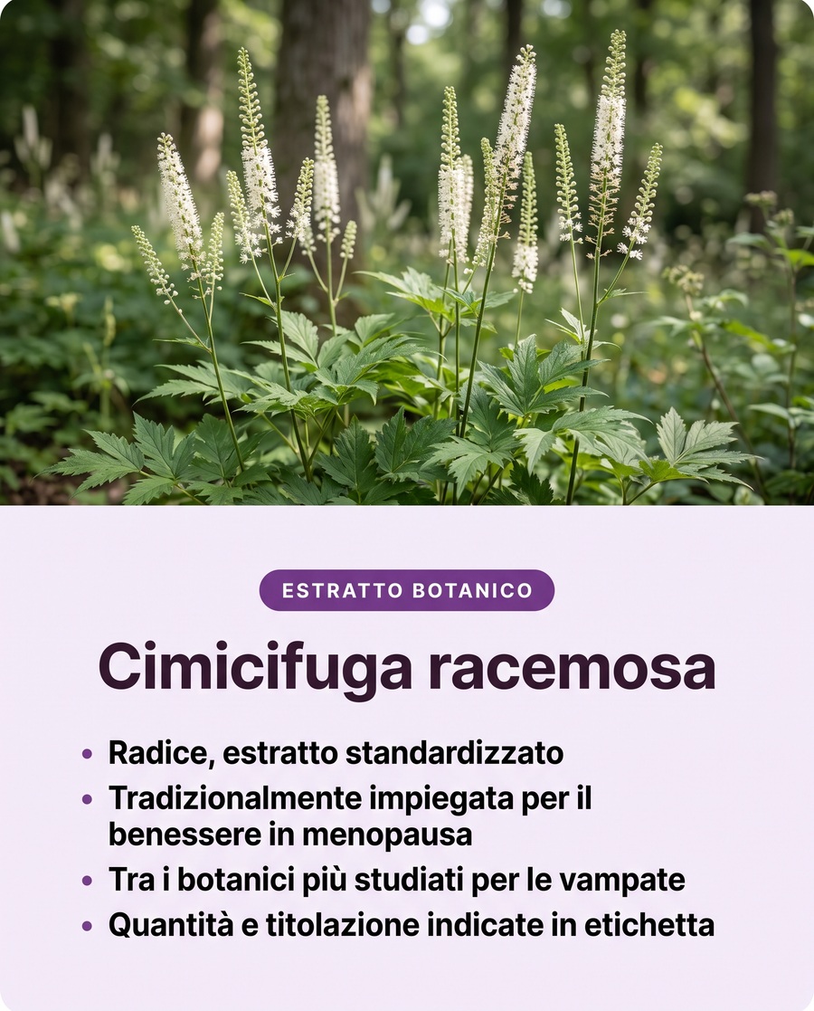 Cimicifuga racemosa